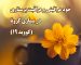 خود مراقبتی در بیماری کرونا